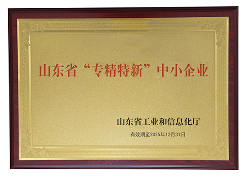 山東省專精特新企業(yè)